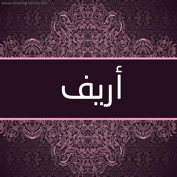 شكل 4 صوره زخرفة عربي للإسم بخط عريض صورة اسم أريف areef شكل 4 صوره زخرفة عربي للإسم بخط عريض صورة اسم أريف areef