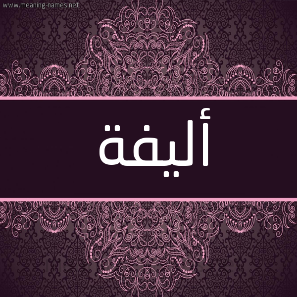 شكل 4 صوره زخرفة عربي للإسم بخط عريض صورة اسم أليفة ALIFH شكل 4 صوره زخرفة عربي للإسم بخط عريض صورة اسم أليفة ALIFH