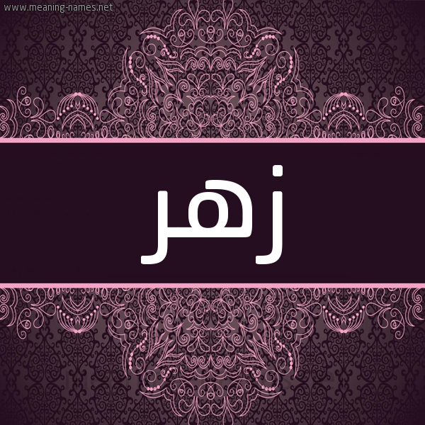 شكل 4 صوره زخرفة عربي للإسم بخط عريض صورة اسم زهر Zhr شكل 4 صوره زخرفة عربي للإسم بخط عريض صورة اسم زهر Zhr