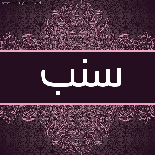 شكل 4 صوره زخرفة عربي للإسم بخط عريض صورة اسم سنب Snb شكل 4 صوره زخرفة عربي للإسم بخط عريض صورة اسم سنب Snb