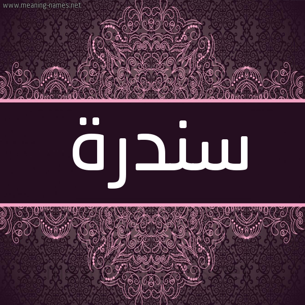 شكل 4 صوره زخرفة عربي للإسم بخط عريض صورة اسم سندرة Sndrh شكل 4 صوره زخرفة عربي للإسم بخط عريض صورة اسم سندرة Sndrh
