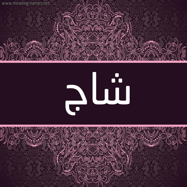 شكل 4 صوره زخرفة عربي للإسم بخط عريض صورة اسم شاج SHAG شكل 4 صوره زخرفة عربي للإسم بخط عريض صورة اسم شاج SHAG