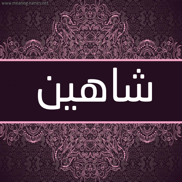 شكل 4 صوره زخرفة عربي للإسم بخط عريض صورة اسم شاهِين SHAHEIN شكل 4 صوره زخرفة عربي للإسم بخط عريض صورة اسم شاهِين SHAHEIN