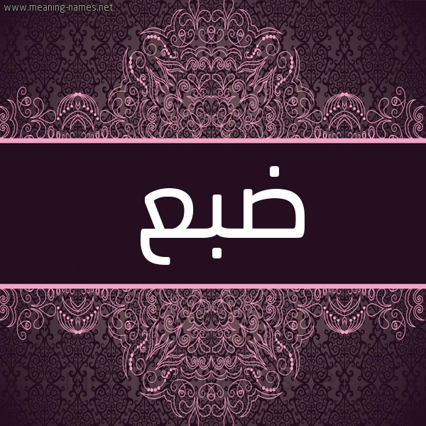 شكل 4 صوره زخرفة عربي للإسم بخط عريض صورة اسم ضبع Db'