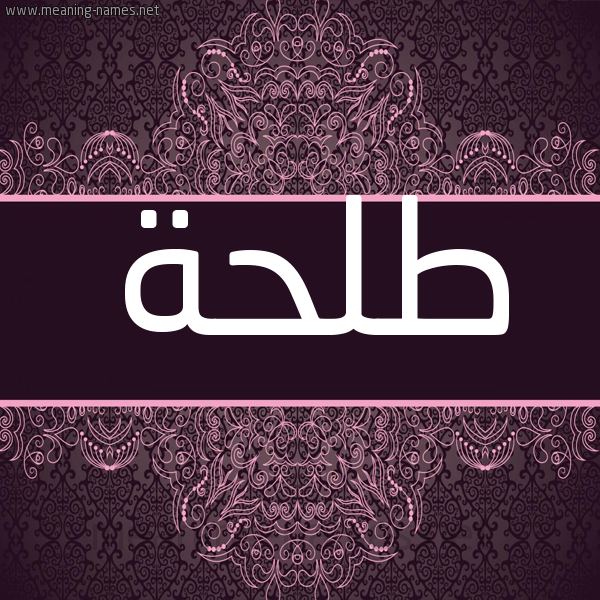 شكل 4 صوره زخرفة عربي للإسم بخط عريض صورة اسم طلحة Talha شكل 4 صوره زخرفة عربي للإسم بخط عريض صورة اسم طلحة Talha