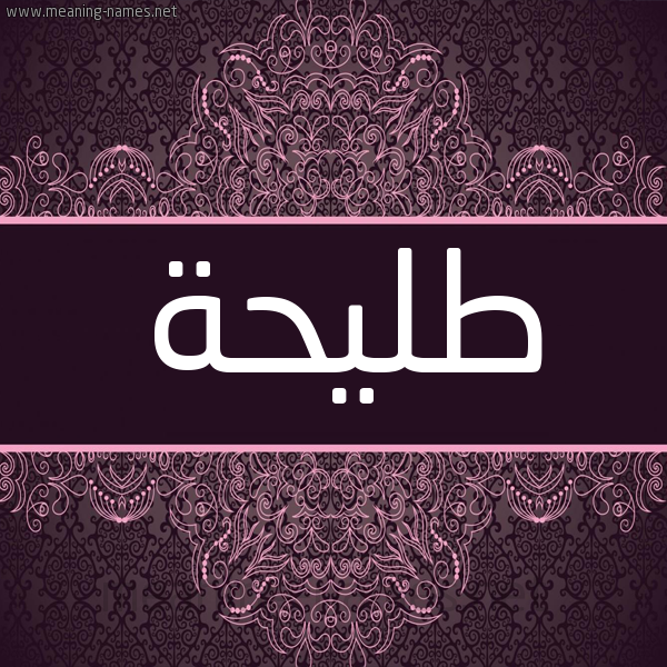 شكل 4 صوره زخرفة عربي للإسم بخط عريض صورة اسم طُلَيحة TOLAIHH شكل 4 صوره زخرفة عربي للإسم بخط عريض صورة اسم طُلَيحة TOLAIHH