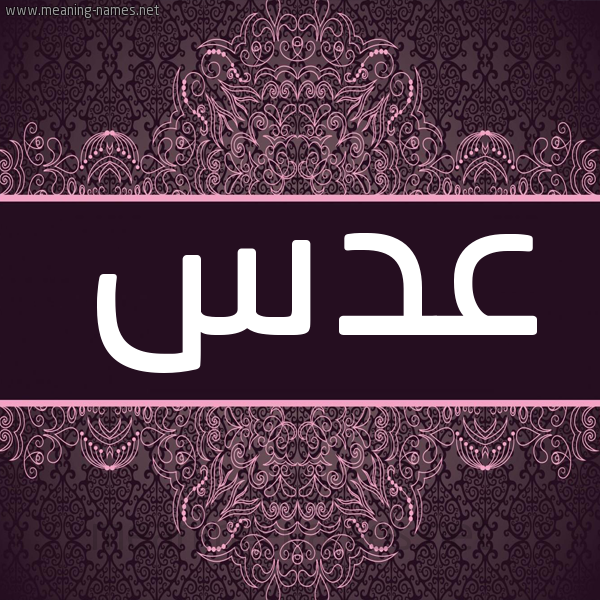 شكل 4 صوره زخرفة عربي للإسم بخط عريض صورة اسم عدس ADS شكل 4 صوره زخرفة عربي للإسم بخط عريض صورة اسم عدس ADS