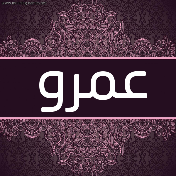 شكل 4 صوره زخرفة عربي للإسم بخط عريض صورة اسم عَمْرو Amr شكل 4 صوره زخرفة عربي للإسم بخط عريض صورة اسم عَمْرو Amr