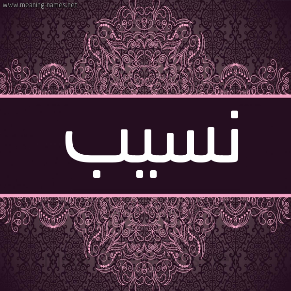 شكل 4 صوره زخرفة عربي للإسم بخط عريض صورة اسم نسيب Nsyb شكل 4 صوره زخرفة عربي للإسم بخط عريض صورة اسم نسيب Nsyb
