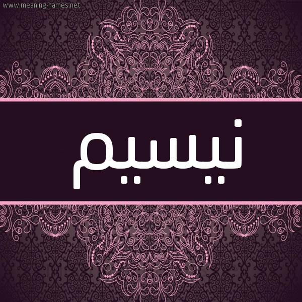 شكل 4 صوره زخرفة عربي للإسم بخط عريض صورة اسم نيسيم Nassim شكل 4 صوره زخرفة عربي للإسم بخط عريض صورة اسم نيسيم Nassim