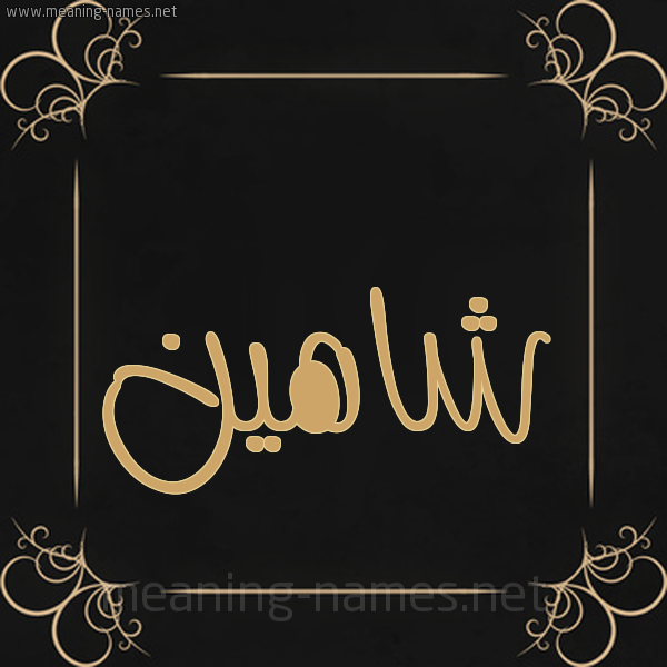 معنى اسم شاهين قاموس الأسماء و المعاني