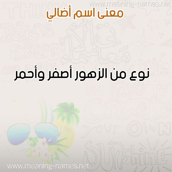 صورة اسم أضالي ADALI معاني الأسماء على صورة صورة اسم أضالي ADALI معاني الأسماء على صورة