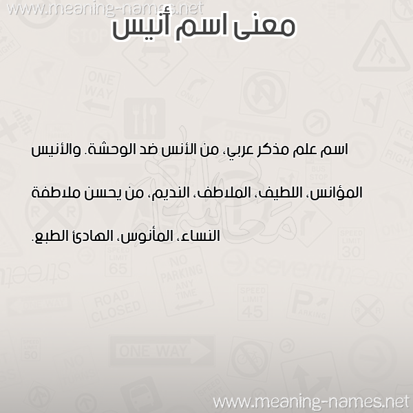 معاني الأسماء على صورة صورة اسم أَنيس AANIS