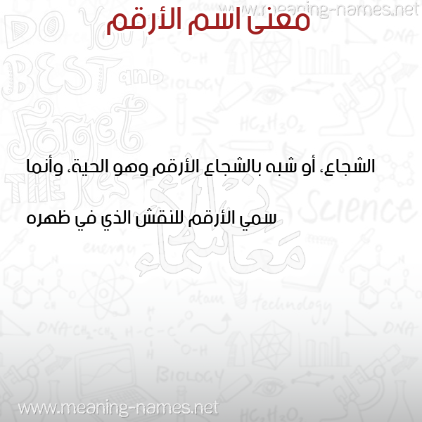 صورة اسم الأرقم Alarqm معاني الأسماء على صورة صورة اسم الأرقم Alarqm معاني الأسماء على صورة