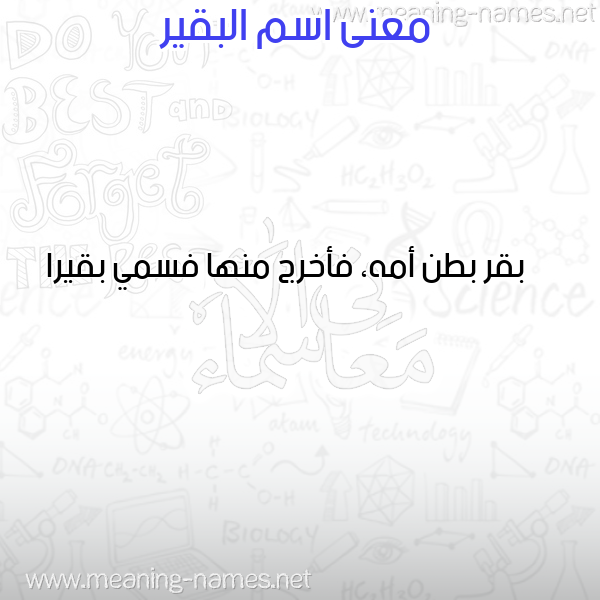 صورة اسم البقير ALBQIR معاني الأسماء على صورة صورة اسم البقير ALBQIR معاني الأسماء على صورة