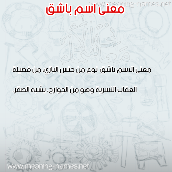 صورة اسم باشق Bashq معاني الأسماء على صورة صورة اسم باشق Bashq معاني الأسماء على صورة