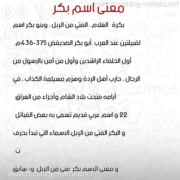 صورة اسم بكر Bkr معاني الأسماء على صورة صورة اسم بكر Bkr معاني الأسماء على صورة
