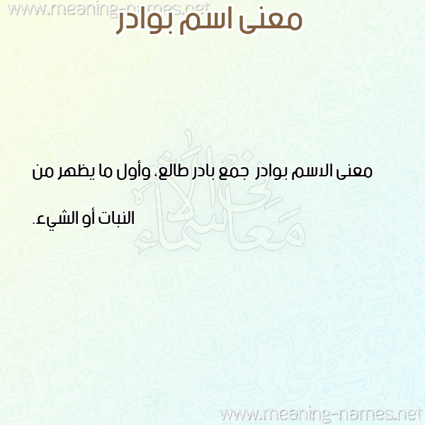 صورة اسم بوادر Bwadr معاني الأسماء على صورة صورة اسم بوادر Bwadr معاني الأسماء على صورة