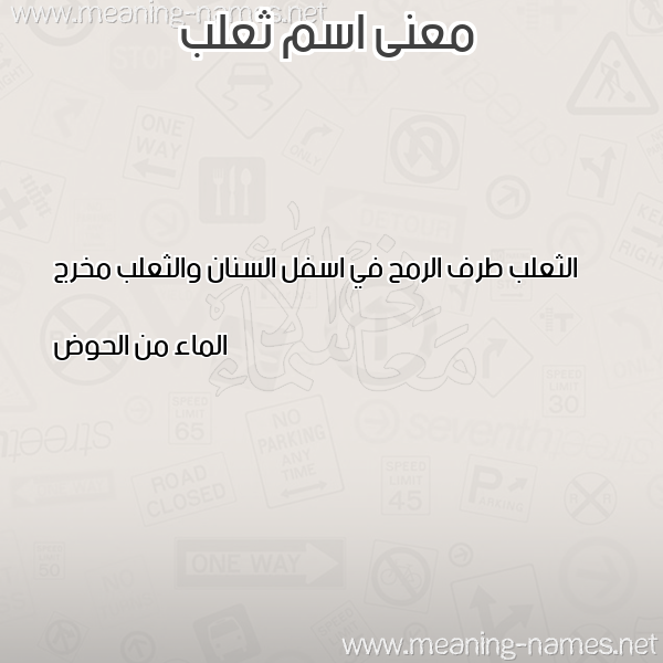 صورة اسم ثعلب THALB معاني الأسماء على صورة