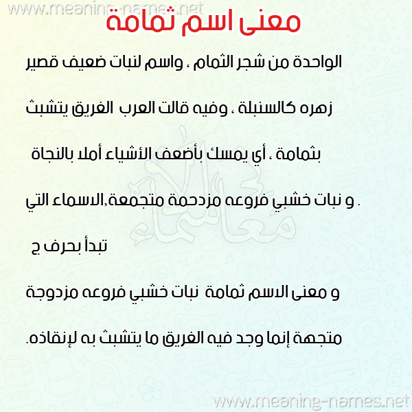 صورة اسم ثمامة Thmamh معاني الأسماء على صورة