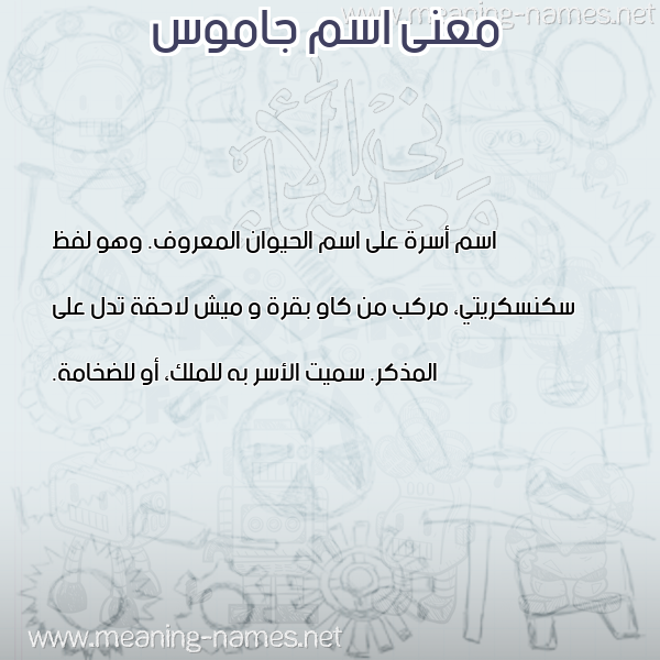 صورة اسم جاموس GAMOS معاني الأسماء على صورة صورة اسم جاموس GAMOS معاني الأسماء على صورة