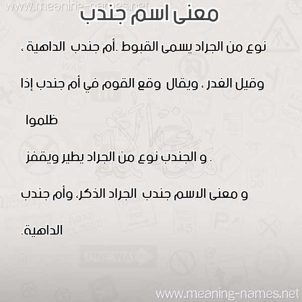 صورة اسم جندب Jndb معاني الأسماء على صورة صورة اسم جندب Jndb معاني الأسماء على صورة