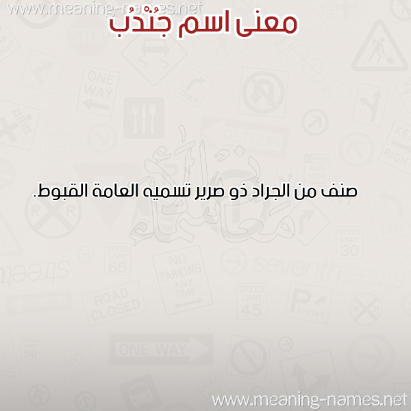 صورة اسم جُنْدُب GONDOB معاني الأسماء على صورة صورة اسم جُنْدُب GONDOB معاني الأسماء على صورة