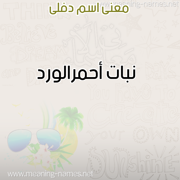 معاني الأسماء على صورة صورة اسم دفلى DFLA معاني الأسماء على صورة صورة اسم دفلى DFLA