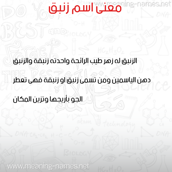 معاني الأسماء على صورة صورة اسم زنبق ZNBQ