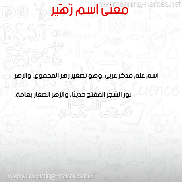 صورة اسم زُهَير ZOHAIR معاني الأسماء على صورة صورة اسم زُهَير ZOHAIR معاني الأسماء على صورة