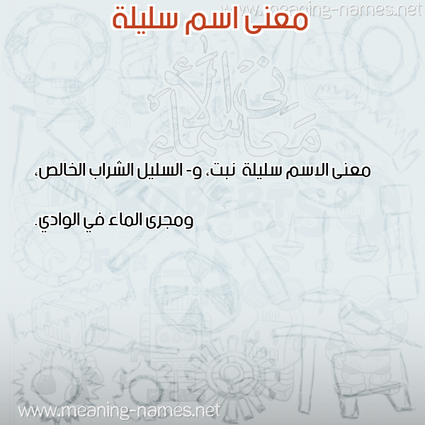 صورة اسم سليلة Slylh معاني الأسماء على صورة