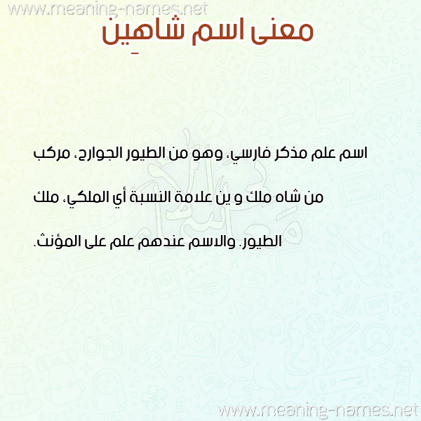 معاني الأسماء على صورة صورة اسم شاهِين SHAHEIN معاني الأسماء على صورة صورة اسم شاهِين SHAHEIN