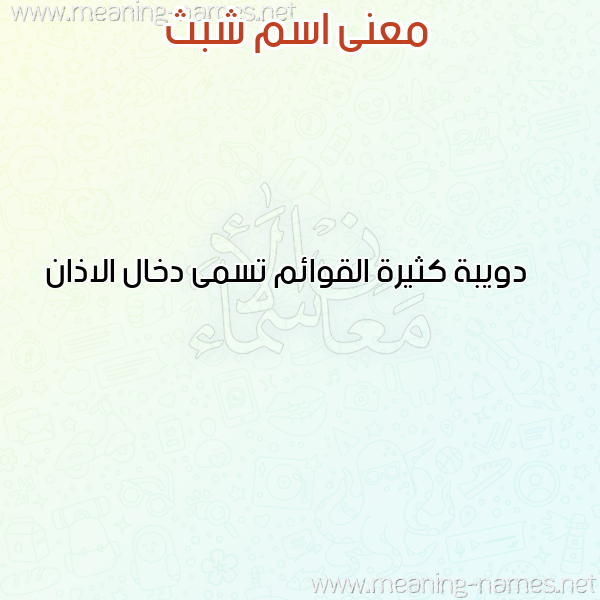 صورة اسم شبث SHBTH معاني الأسماء على صورة
