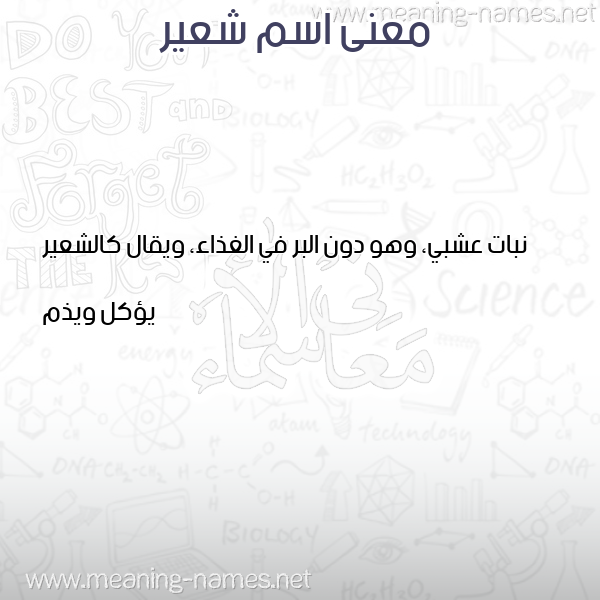 صورة اسم شعير SHAIR معاني الأسماء على صورة صورة اسم شعير SHAIR معاني الأسماء على صورة
