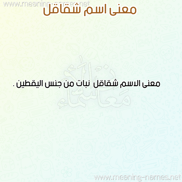صورة اسم شقاقل Shqaql معاني الأسماء على صورة