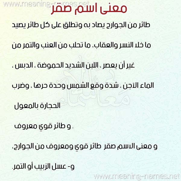 صورة اسم صقر Sakr معاني الأسماء على صورة صورة اسم صقر Sakr معاني الأسماء على صورة