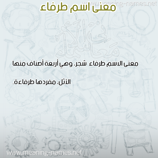 معاني الأسماء على صورة صورة اسم طرفاء Trfa'a معاني الأسماء على صورة صورة اسم طرفاء Trfa'a
