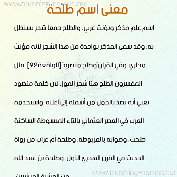 معاني الأسماء على صورة صورة اسم طَلْحة Talha معاني الأسماء على صورة صورة اسم طَلْحة Talha