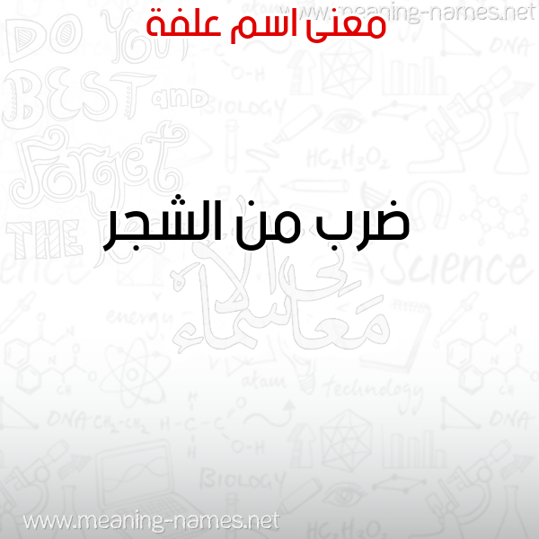 صورة اسم علفة ALFH معاني الأسماء على صورة صورة اسم علفة ALFH معاني الأسماء على صورة