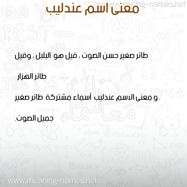صورة اسم عندليب Andlyb معاني الأسماء على صورة صورة اسم عندليب Andlyb معاني الأسماء على صورة