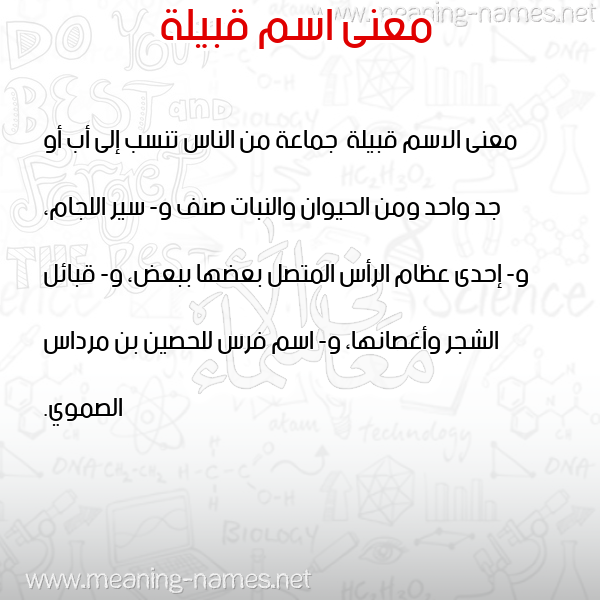 صورة اسم قبيلة Qbylh معاني الأسماء على صورة صورة اسم قبيلة Qbylh معاني الأسماء على صورة