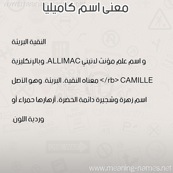 صورة اسم كاميليا KAMILIA معاني الأسماء على صورة صورة اسم كاميليا KAMILIA معاني الأسماء على صورة