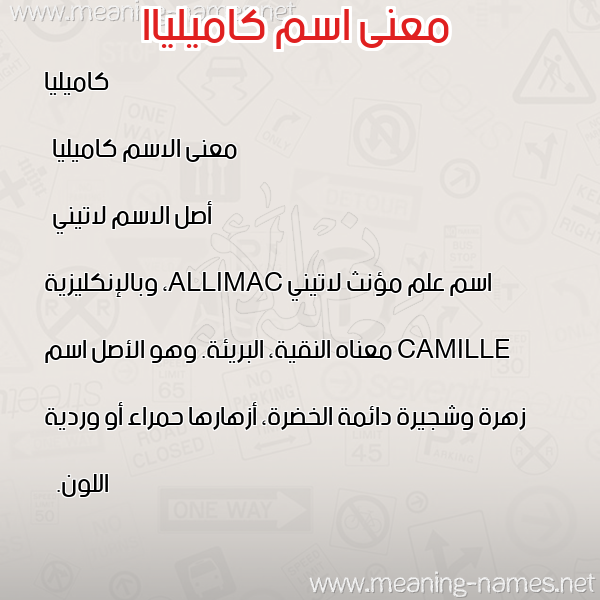 صورة اسم كاميلياا kamilia معاني الأسماء على صورة صورة اسم كاميلياا kamilia معاني الأسماء على صورة