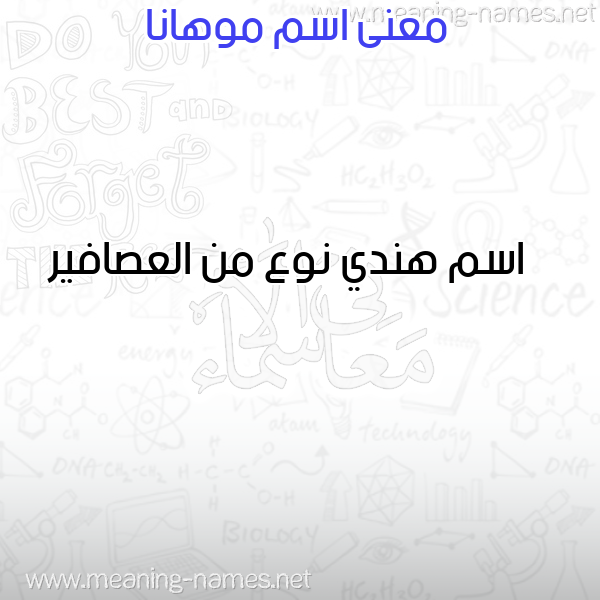 صورة اسم موهانا MOHANA معاني الأسماء على صورة صورة اسم موهانا MOHANA معاني الأسماء على صورة