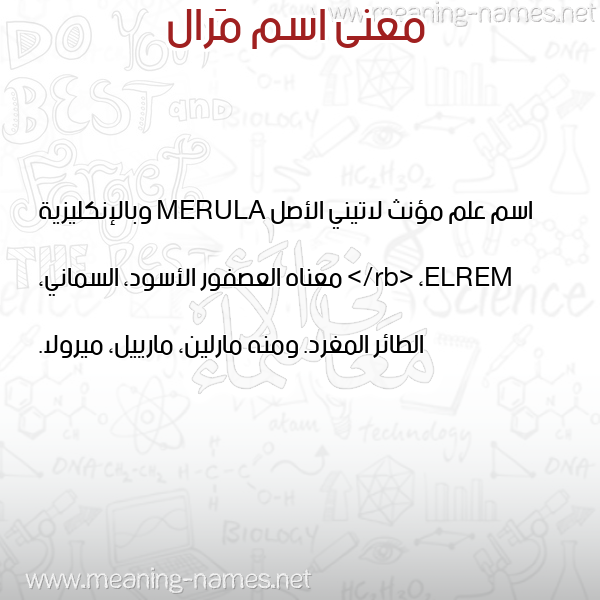 معاني الأسماء على صورة صورة اسم مَرال Maral معاني الأسماء على صورة صورة اسم مَرال Maral