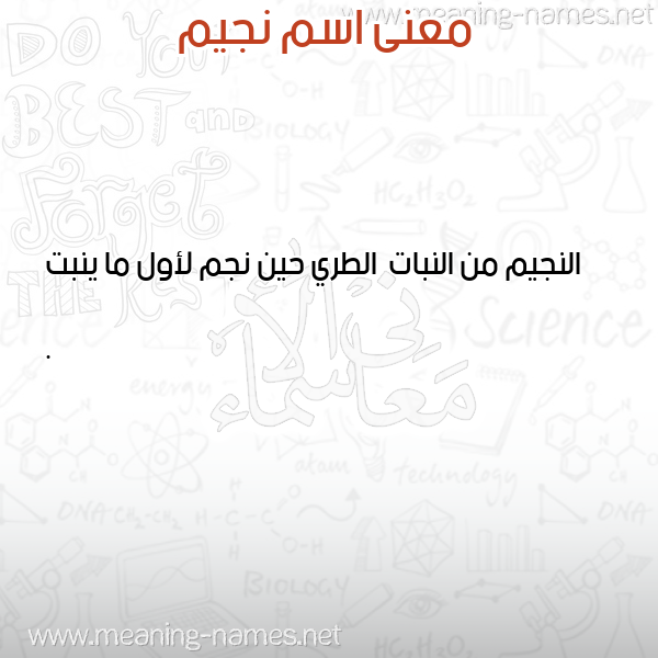 معاني الأسماء على صورة صورة اسم نجيم NAJEM معاني الأسماء على صورة صورة اسم نجيم NAJEM
