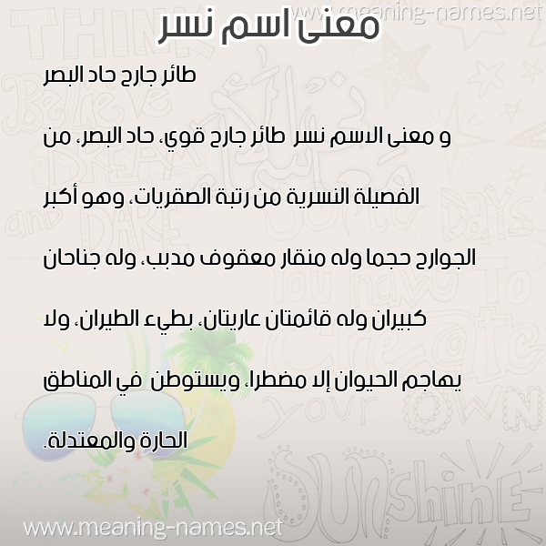 معاني الأسماء على صورة صورة اسم نسر Nsr معاني الأسماء على صورة صورة اسم نسر Nsr