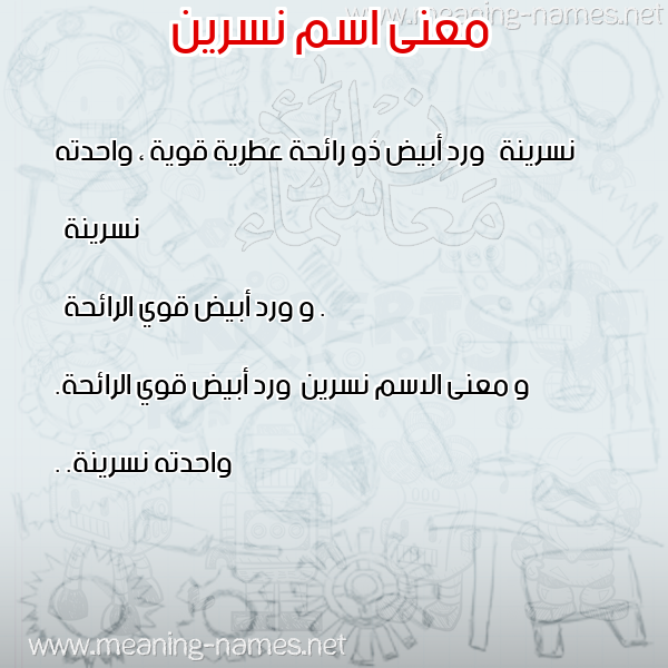 صورة اسم نسرين Nsryn معاني الأسماء على صورة صورة اسم نسرين Nsryn معاني الأسماء على صورة