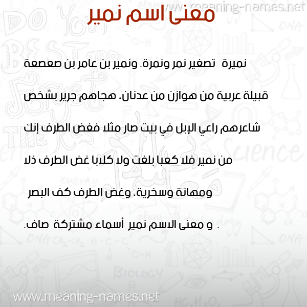 معاني الأسماء على صورة صورة اسم نمير Nmyr معاني الأسماء على صورة صورة اسم نمير Nmyr