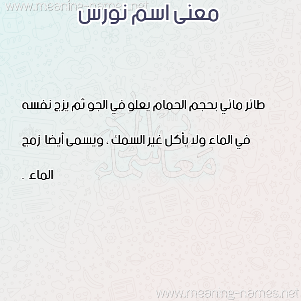 معاني الأسماء على صورة صورة اسم نورس Nors معاني الأسماء على صورة صورة اسم نورس Nors
